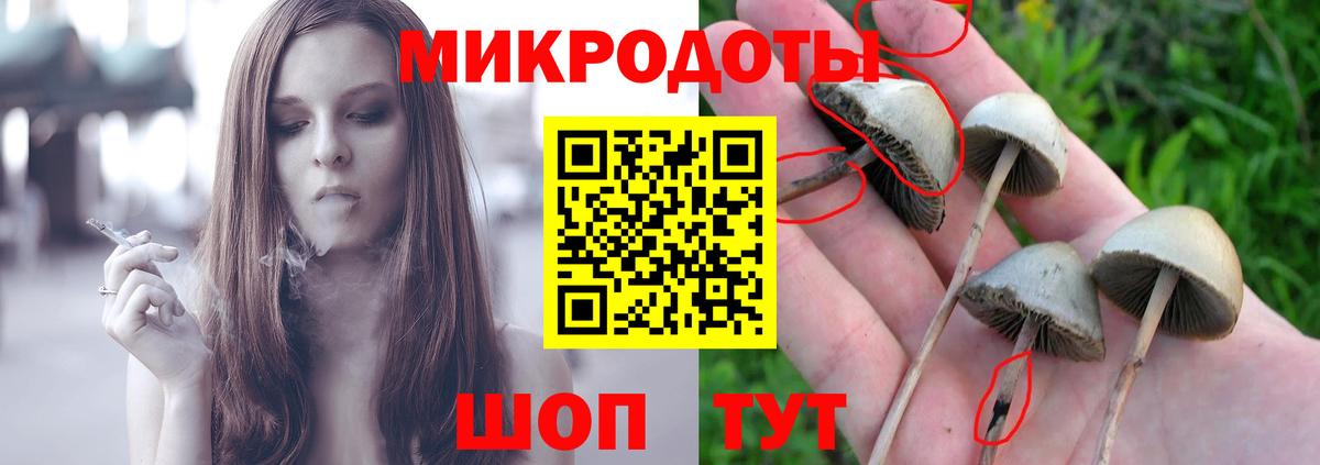 Строитель  Псилоцибиновые грибы GOLDEN TEACHER  Вход с VPN 